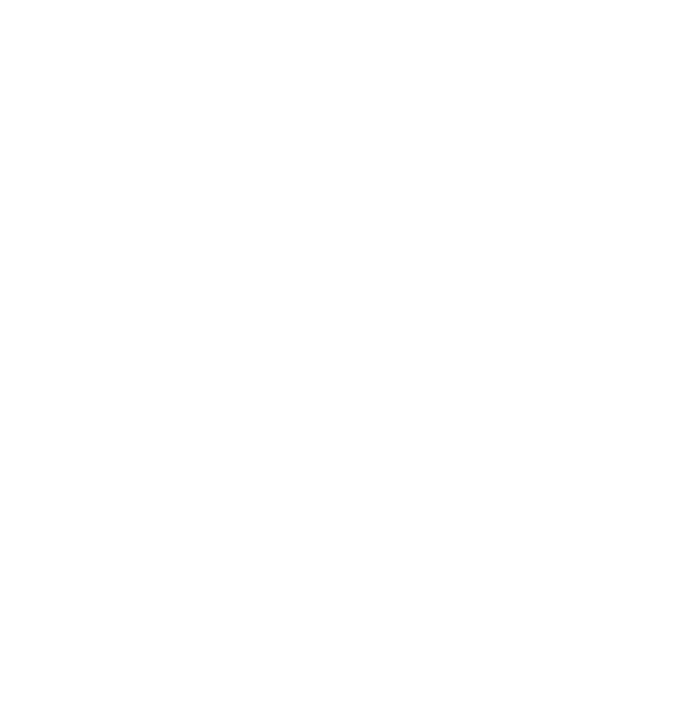 synergia logo transparent Copy.png