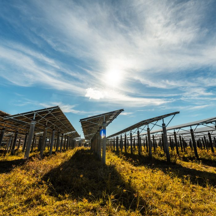 solar power station